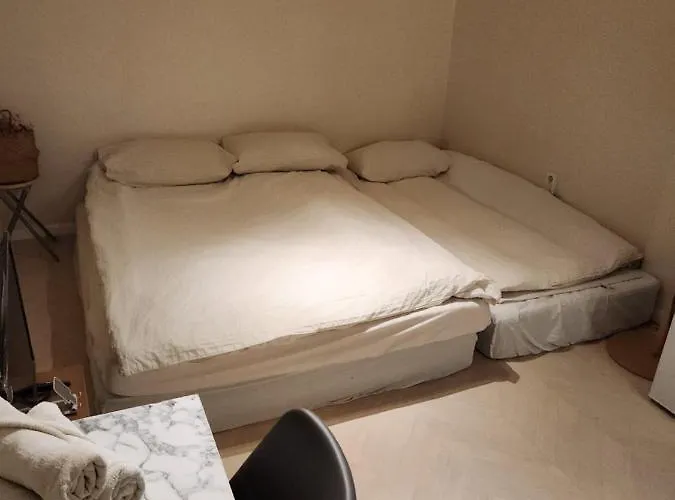 Albergue Rich House Dongdaemun *